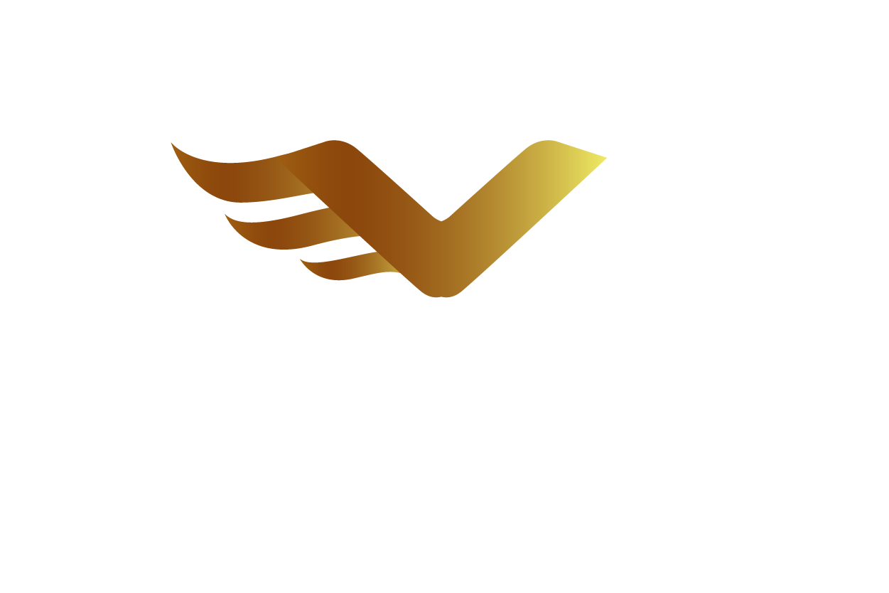 Voyager Global Solutions