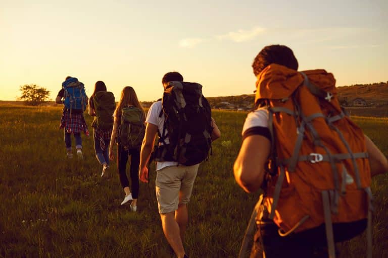 Group of tourists with backpacks walking in single file in field in the evening during active summer vacation. Young friends enjoying trekking tour in the countryside and admiring nature at sunset
